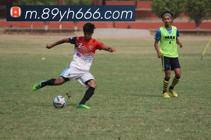 电竞数据